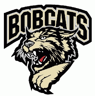 bismarck bobcats 2006-pres primary logo iron on heat transfer